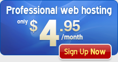 Professional Web Hosting